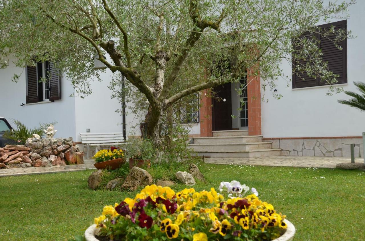 Il Grifo Hotel Sabaudia Exterior foto